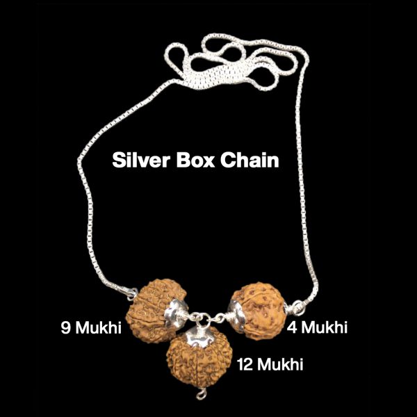 Rudraksha Combination for Doctors 4,9,12 Mukhi Nepal in Silver Chain