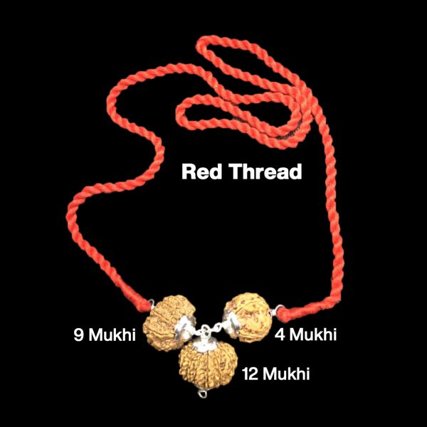 Rudraksha Combination for Doctors 4,9,12 Mukhi Nepal in Silver Pendant