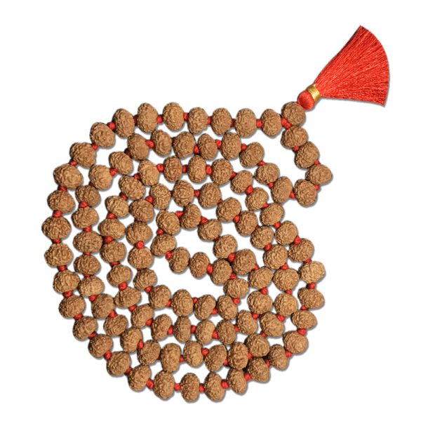 9 Mukhi Indonesian Rudraksha Mala 108 Beads (10mm-11mm)