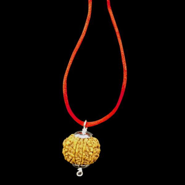 8 Mukhi Nepal Rudraksha In Pure Silver Pendant