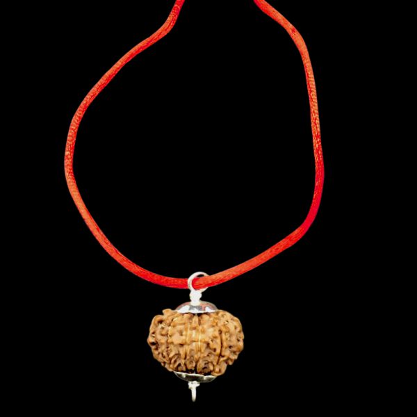 12 Mukhi Nepal Rudraksha In Pure Silver Pendant