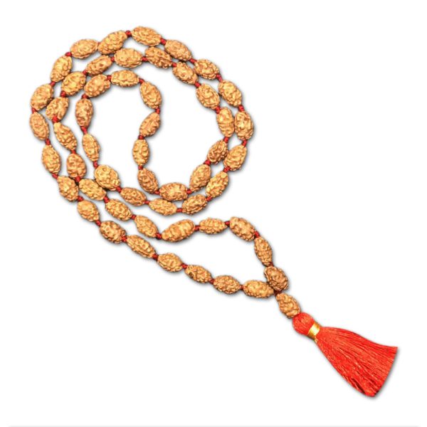 2 Mukhi Indonesian Rudraksha Mala 54 Beads (10mm-12mm)