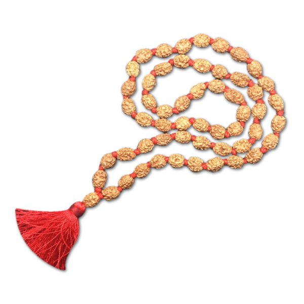 2 Mukhi Indonesian Rudraksha Mala 54 Beads (7mm-9mm)