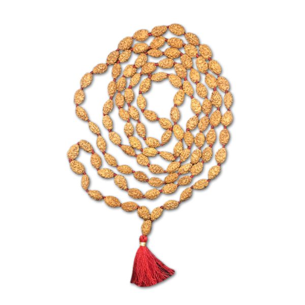 2 Mukhi Indonesian Rudraksha Mala 108 Beads (7mm-9mm)