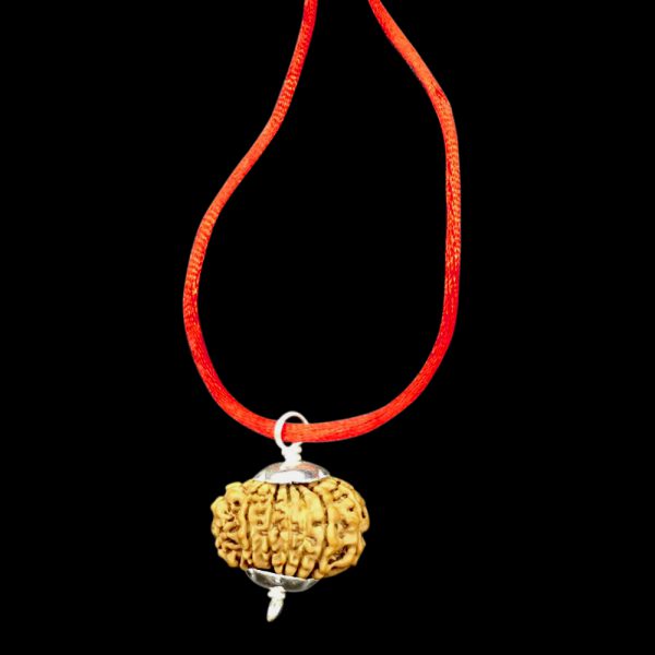 15 Mukhi Nepal Rudraksha In Pure Silver Pendant