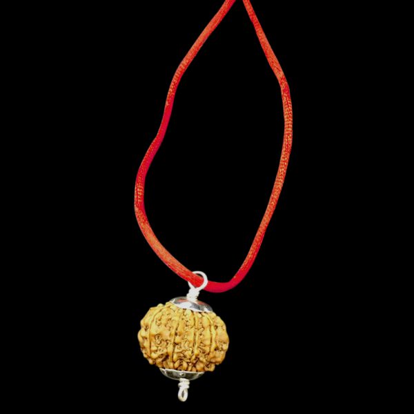 9 Mukhi Nepal Rudraksha In Pure Silver Pendant