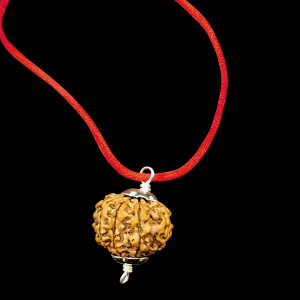 10 Mukhi Nepal Rudraksha In Pure Silver Pendant