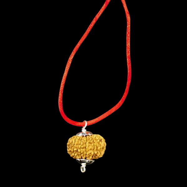 13 Mukhi Nepal Rudraksha In Pure Silver Pendant